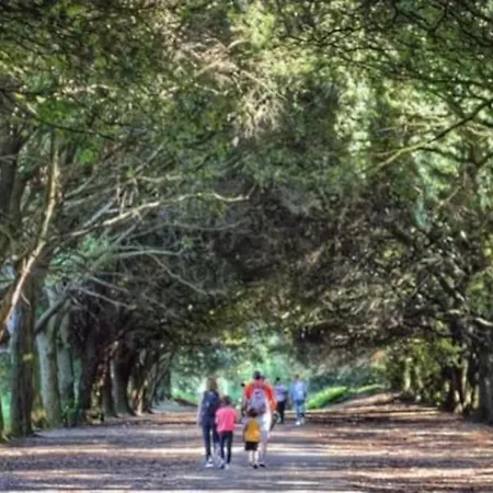 Excellent Location St Anne's Park 2 Bed/bath Apartment, 5 Dublin