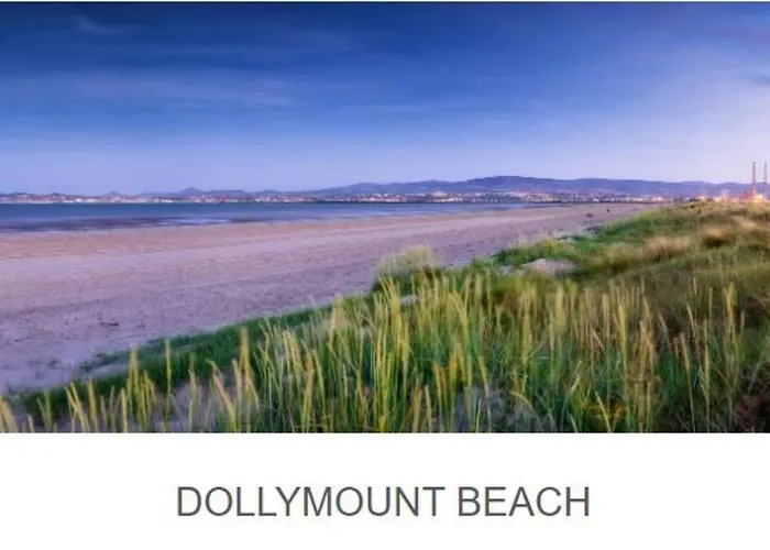 公寓 Excellent Location St Anne's Park 2 Bed/bath Apartment, 5