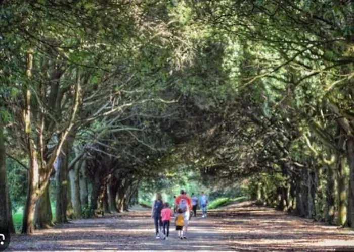 Excellent Location St Anne's Park 2 Bed/bath Apartment, 5 都柏林